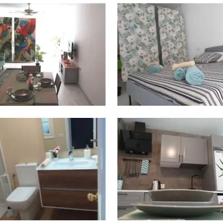 Tropical Loft * 科拉雷侯