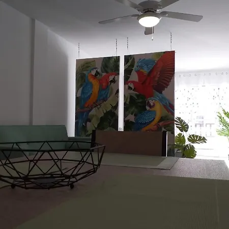 דירה Tropical Loft *