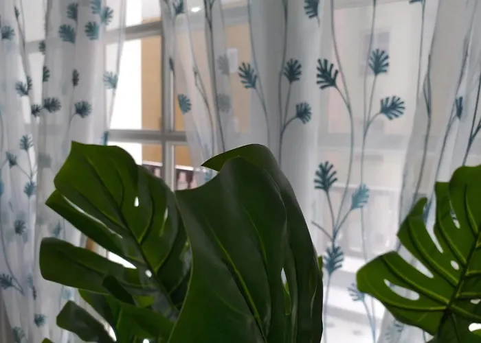 Tropical Loft * קורלחו