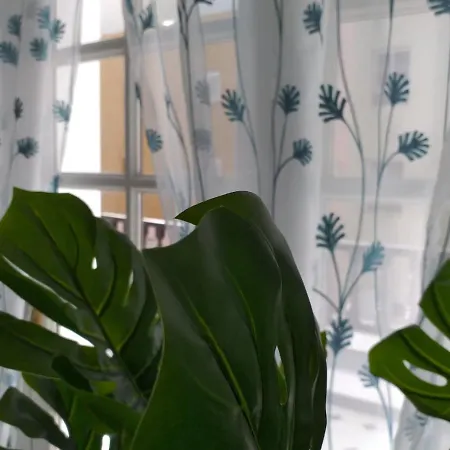 Tropical Loft * كوراليهو