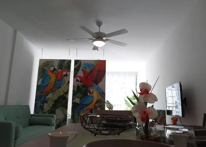 Appartamento Tropical Loft *