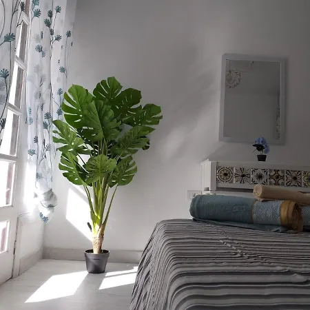 Tropical Loft * Corralejo